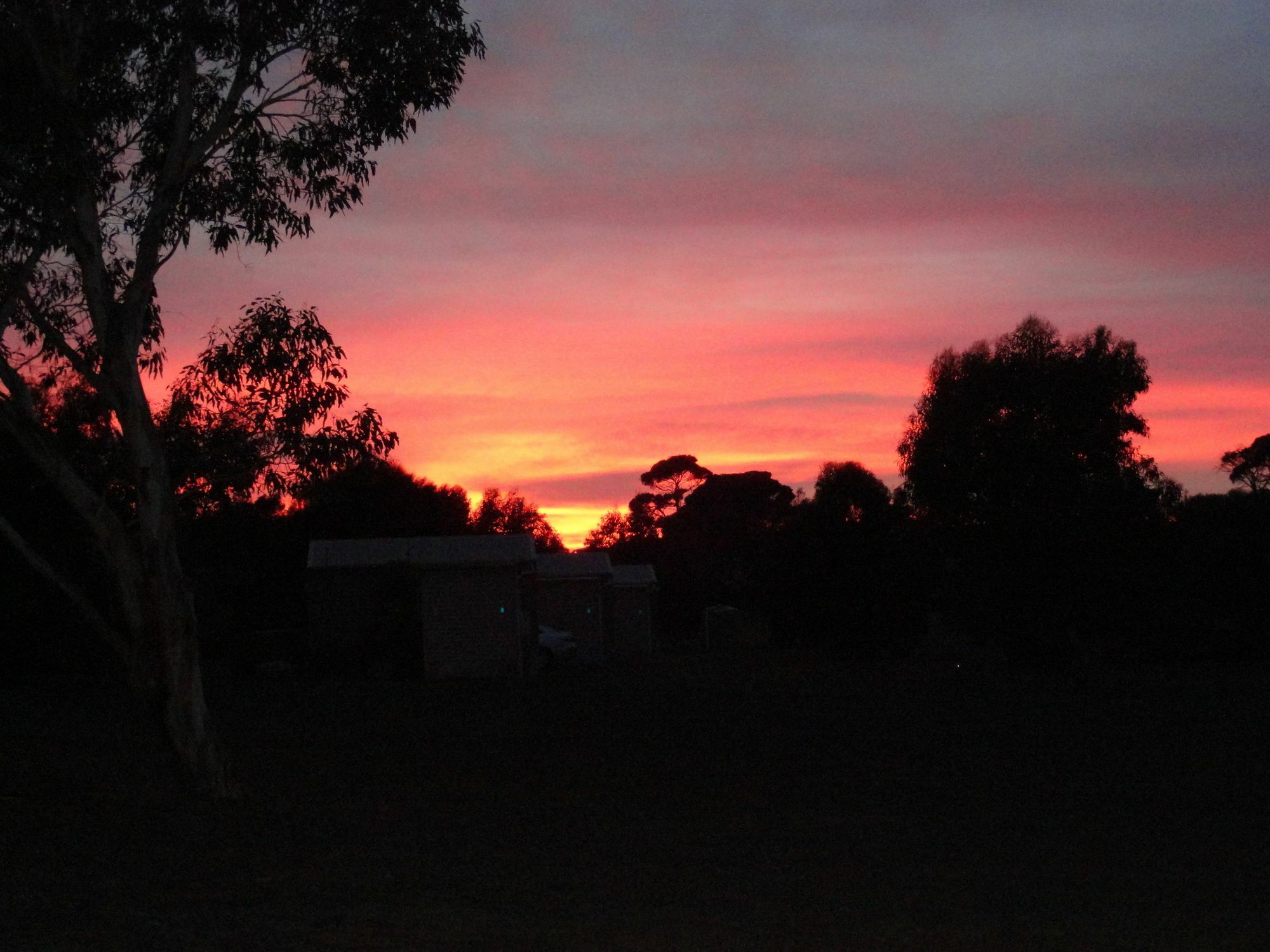 Kangaroo Island Cabins Kingscote Εξωτερικό φωτογραφία